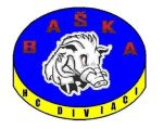 HC Diviaci Baška logo